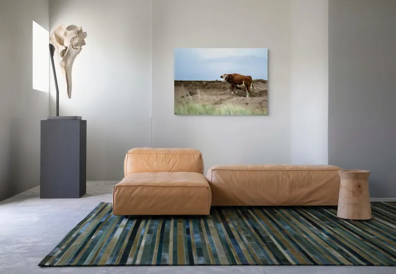 Tablou Canvas, "Vaca solitară pe dunele pustii", Vacă, Peisaj, Nisip, Cer, Iarbă, 100 x 70 cm – poza 7