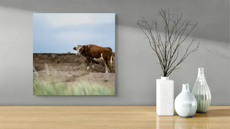 Tablou Canvas, "Vaca solitară pe dunele pustii", Vacă, Peisaj, Nisip, Cer, Iarbă, 50 x 50 cm – poza 3