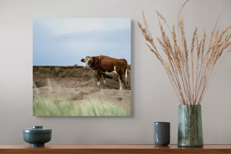 Tablou Canvas, "Vaca solitară pe dunele pustii", Vacă, Peisaj, Nisip, Cer, Iarbă, 50 x 50 cm – poza 4