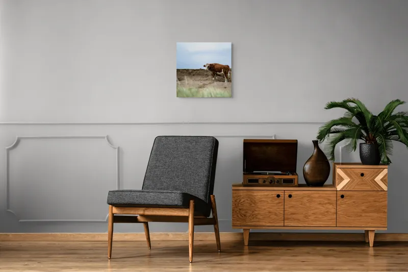 Tablou Canvas, "Vaca solitară pe dunele pustii", Vacă, Peisaj, Nisip, Cer, Iarbă, 50 x 50 cm – poza 6