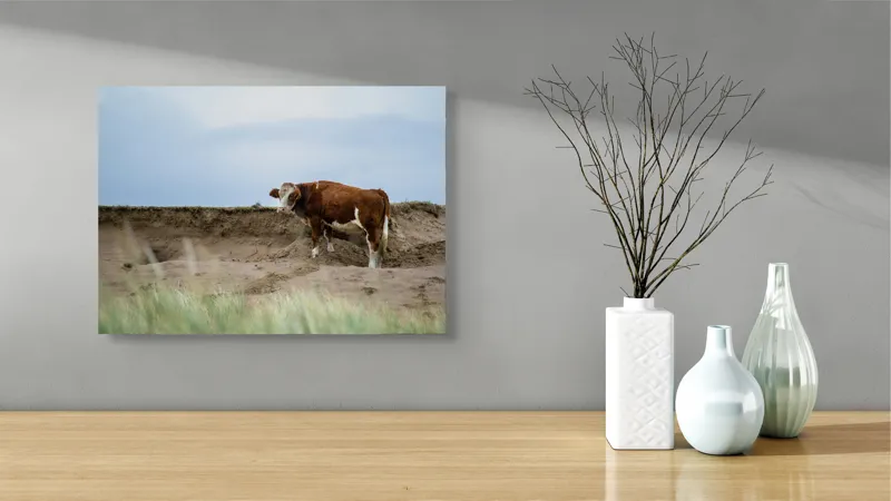 Tablou Canvas, "Vaca solitară pe dunele pustii", Vacă, Peisaj, Nisip, Cer, Iarbă, 54 x 39 cm – poza 3