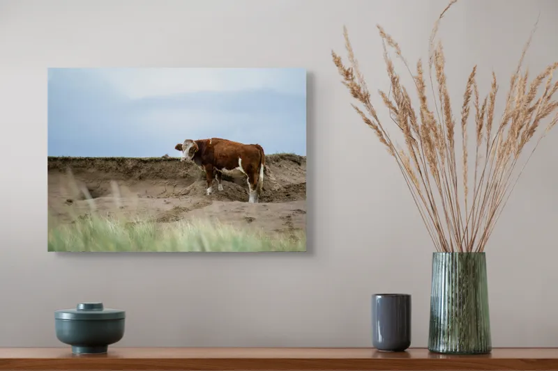 Tablou Canvas, "Vaca solitară pe dunele pustii", Vacă, Peisaj, Nisip, Cer, Iarbă, 54 x 39 cm – poza 4
