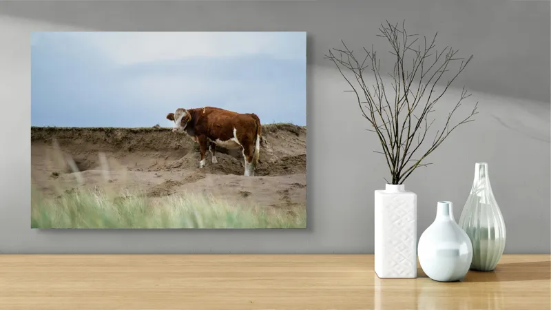 Tablou Canvas, "Vaca solitară pe dunele pustii", Vacă, Peisaj, Nisip, Cer, Iarbă, 70 x 50 cm – poza 3