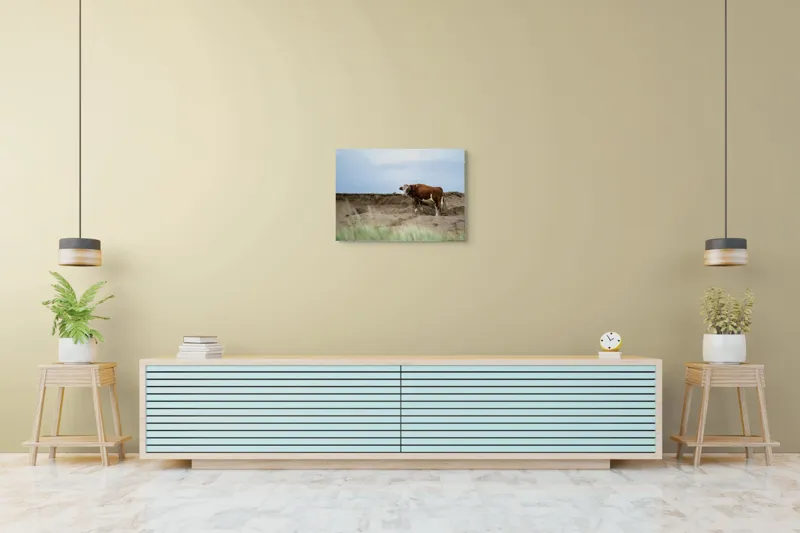 Tablou Canvas, "Vaca solitară pe dunele pustii", Vacă, Peisaj, Nisip, Cer, Iarbă, 70 x 50 cm – poza 7