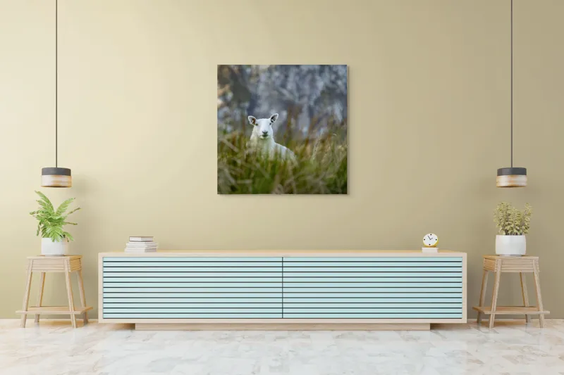 Tablou Canvas, "Oaia curioasă din poieniță verde", I don't know who this is., 100 x 100 cm – poza 5