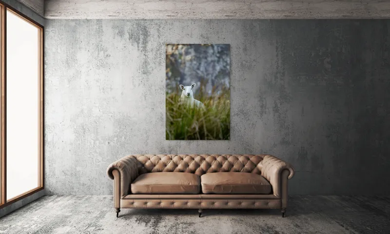 Tablou Canvas, "Oaia curioasă din poieniță verde", I don't know who this is., 100 x 150 cm – poza 6