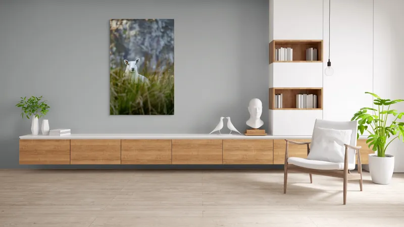 Tablou Canvas, "Oaia curioasă din poieniță verde", I don't know who this is., 100 x 150 cm – poza 8