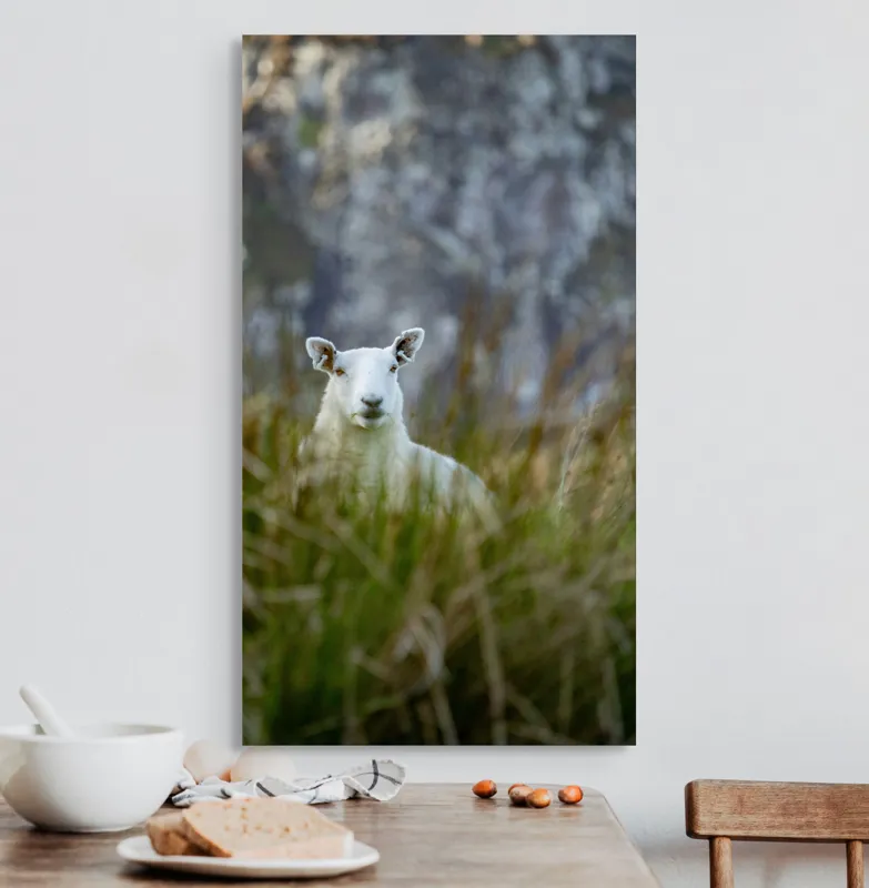 Tablou Canvas, "Oaia curioasă din poieniță verde", I don't know who this is., 50 x 90 cm – poza 3