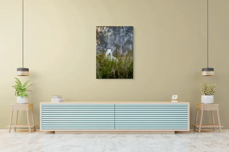 Tablou Canvas, "Oaia curioasă din poieniță verde", I don't know who this is., 70 x 100 cm – poza 5