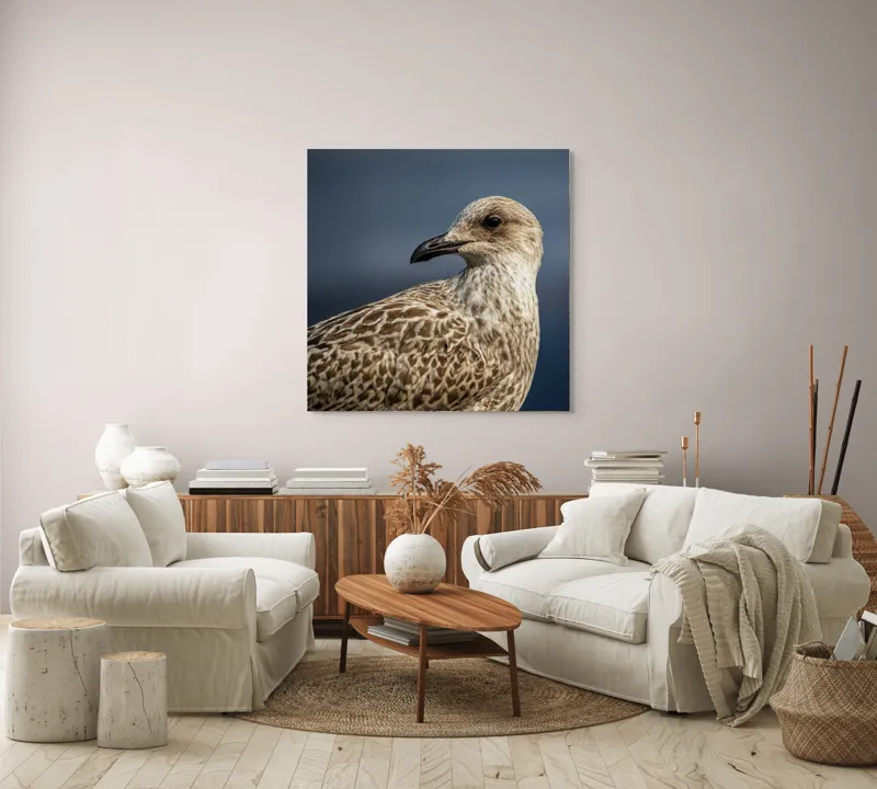Tablou Canvas, "Pescăruș în lumina dimineții marinărești", Pene, Cioc, Ochi, Fundal, Detaliu, Textură, Profil, Natural, Elegant, Zvelt, 100 x 100 cm – poza 3