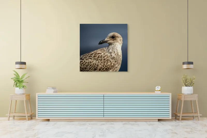 Tablou Canvas, "Pescăruș în lumina dimineții marinărești", Pene, Cioc, Ochi, Fundal, Detaliu, Textură, Profil, Natural, Elegant, Zvelt, 100 x 100 cm – poza 5