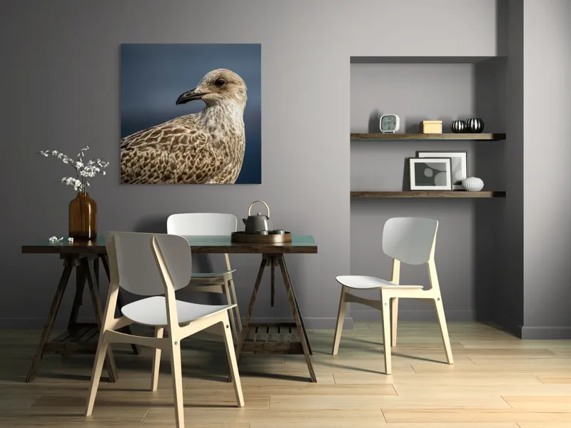 Tablou Canvas, "Pescăruș în lumina dimineții marinărești", Pene, Cioc, Ochi, Fundal, Detaliu, Textură, Profil, Natural, Elegant, Zvelt, 100 x 100 cm – poza 6