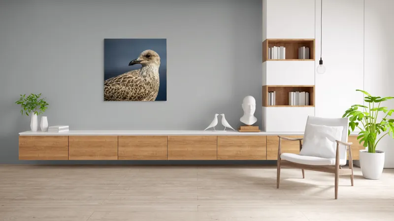 Tablou Canvas, "Pescăruș în lumina dimineții marinărești", Pene, Cioc, Ochi, Fundal, Detaliu, Textură, Profil, Natural, Elegant, Zvelt, 100 x 100 cm – poza 8
