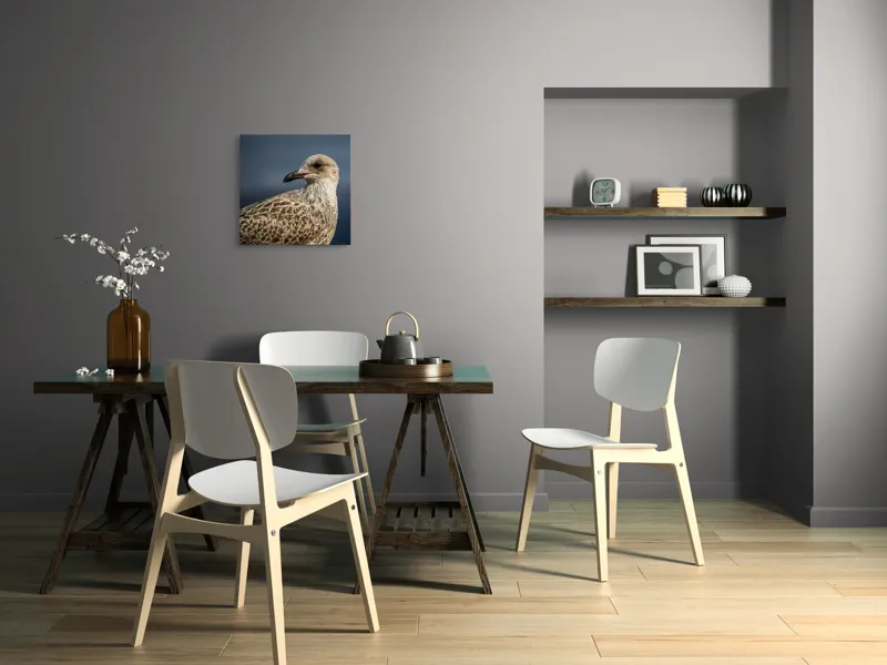 Tablou Canvas, "Pescăruș în lumina dimineții marinărești", Pene, Cioc, Ochi, Fundal, Detaliu, Textură, Profil, Natural, Elegant, Zvelt, 50 x 50 cm – poza 8