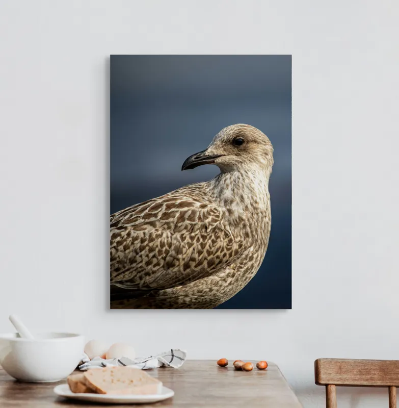 Tablou Canvas, "Pescăruș în lumina dimineții marinărești", Pene, Cioc, Ochi, Fundal, Detaliu, Textură, Profil, Natural, Elegant, Zvelt, 50 x 70 cm – poza 3