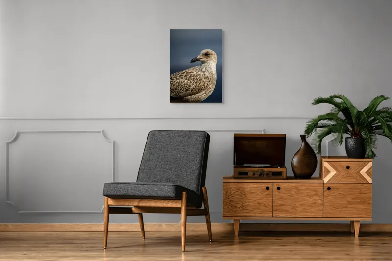 Tablou Canvas, "Pescăruș în lumina dimineții marinărești", Pene, Cioc, Ochi, Fundal, Detaliu, Textură, Profil, Natural, Elegant, Zvelt, 50 x 70 cm – poza 8