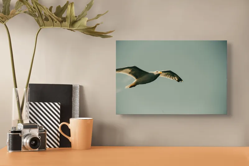 Tablou Canvas, "Zborul liber al pescărușului alb", Pescăruș, Cer, Zbor, Libertate, Liniște, Aripi, Seninătate, 39 x 26 cm – poza 3