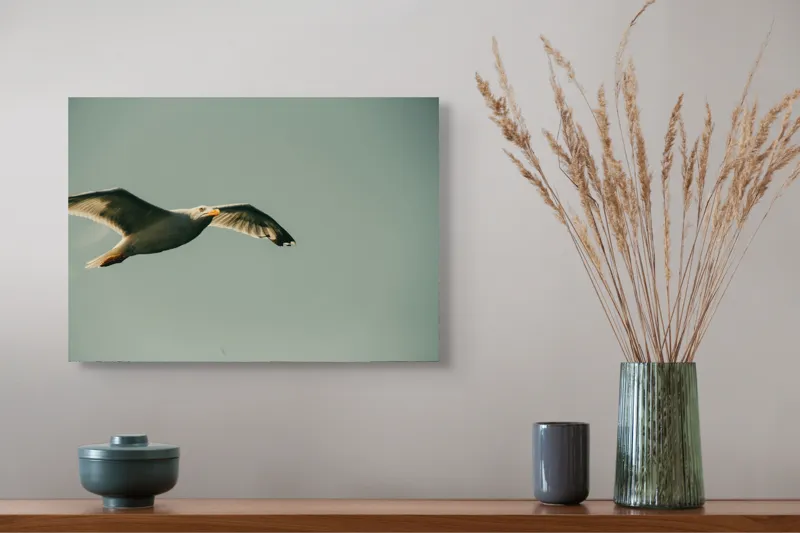 Tablou Canvas, "Zborul liber al pescărușului alb", Pescăruș, Cer, Zbor, Libertate, Liniște, Aripi, Seninătate, 54 x 39 cm – poza 4