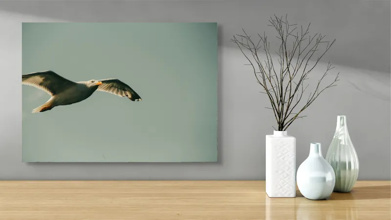 Tablou Canvas, "Zborul liber al pescărușului alb", Pescăruș, Cer, Zbor, Libertate, Liniște, Aripi, Seninătate, 70 x 50 cm – poza 3