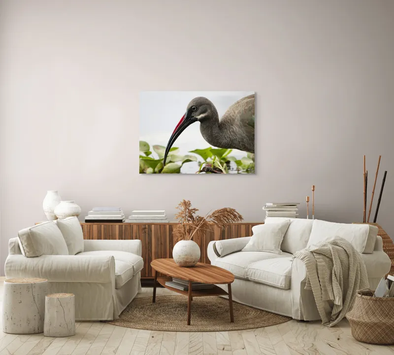 Tablou Canvas, "Pasărea cu ciocul curbat pe apă", Pasăre, Cioc, Apă, Plante, Penaj, Ochi, Natură, Verde, Maro, Detaliu, 100 x 70 cm – poza 3