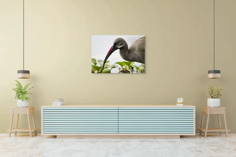 Tablou Canvas, "Pasărea cu ciocul curbat pe apă", Pasăre, Cioc, Apă, Plante, Penaj, Ochi, Natură, Verde, Maro, Detaliu, 100 x 70 cm – poza 4