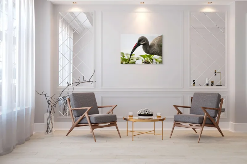 Tablou Canvas, "Pasărea cu ciocul curbat pe apă", Pasăre, Cioc, Apă, Plante, Penaj, Ochi, Natură, Verde, Maro, Detaliu, 100 x 70 cm – poza 5