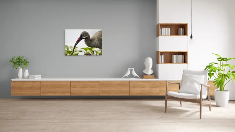 Tablou Canvas, "Pasărea cu ciocul curbat pe apă", Pasăre, Cioc, Apă, Plante, Penaj, Ochi, Natură, Verde, Maro, Detaliu, 100 x 70 cm – poza 6