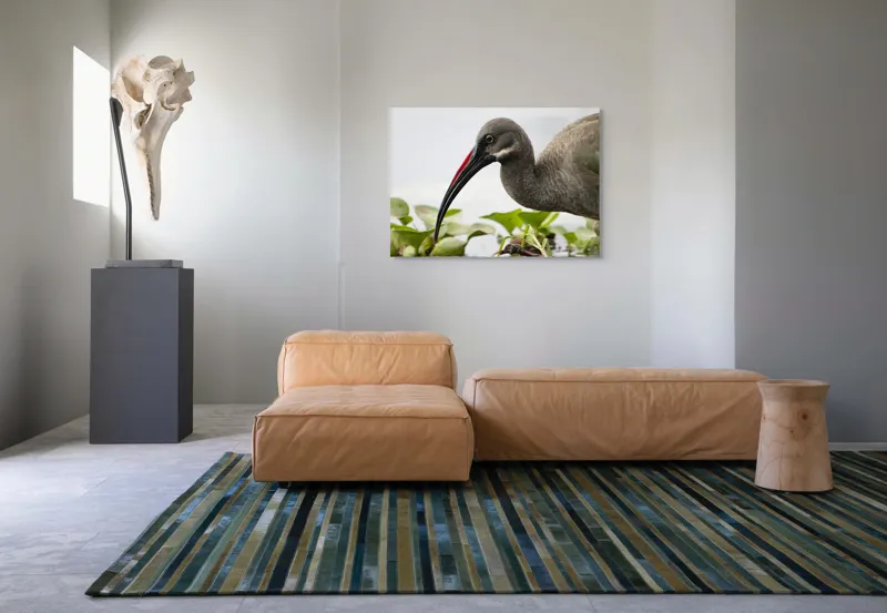 Tablou Canvas, "Pasărea cu ciocul curbat pe apă", Pasăre, Cioc, Apă, Plante, Penaj, Ochi, Natură, Verde, Maro, Detaliu, 100 x 70 cm – poza 7