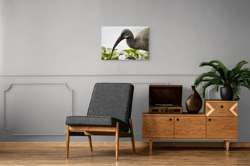 Tablou Canvas, "Pasărea cu ciocul curbat pe apă", Pasăre, Cioc, Apă, Plante, Penaj, Ochi, Natură, Verde, Maro, Detaliu, 70 x 50 cm – poza 4