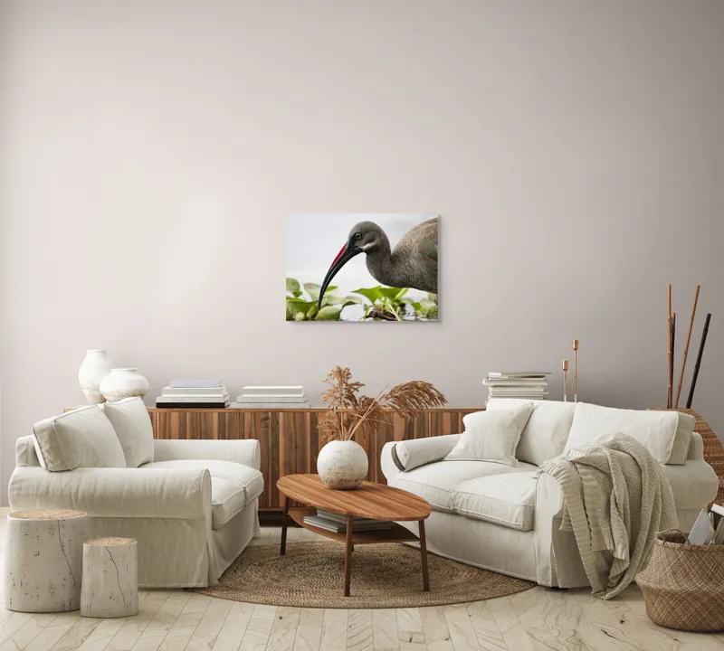 Tablou Canvas, "Pasărea cu ciocul curbat pe apă", Pasăre, Cioc, Apă, Plante, Penaj, Ochi, Natură, Verde, Maro, Detaliu, 70 x 50 cm – poza 6