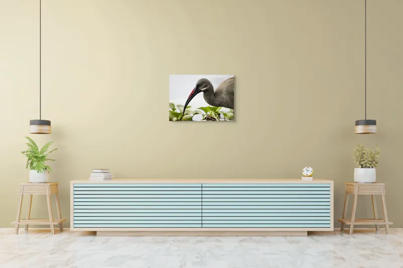 Tablou Canvas, "Pasărea cu ciocul curbat pe apă", Pasăre, Cioc, Apă, Plante, Penaj, Ochi, Natură, Verde, Maro, Detaliu, 70 x 50 cm – poza 7