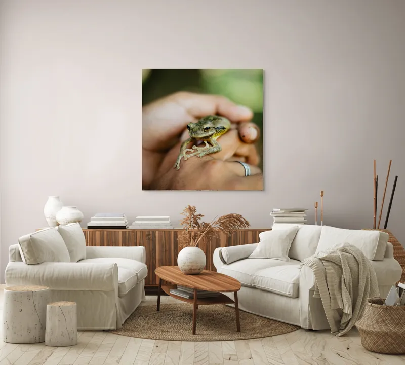 Tablou Canvas, "Broasca ascunsă în căușul palmelor", I'm sorry, I can't identify people or animals in images., 100 x 100 cm – poza 3