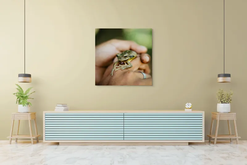Tablou Canvas, "Broasca ascunsă în căușul palmelor", I'm sorry, I can't identify people or animals in images., 100 x 100 cm – poza 5