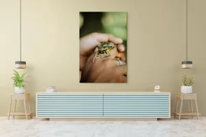 Tablou Canvas, "Broasca ascunsă în căușul palmelor", 100 x 150 cm – poza 4
