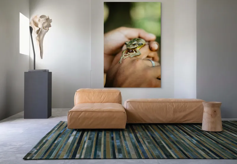 Tablou Canvas, "Broasca ascunsă în căușul palmelor", 100 x 150 cm – poza 7