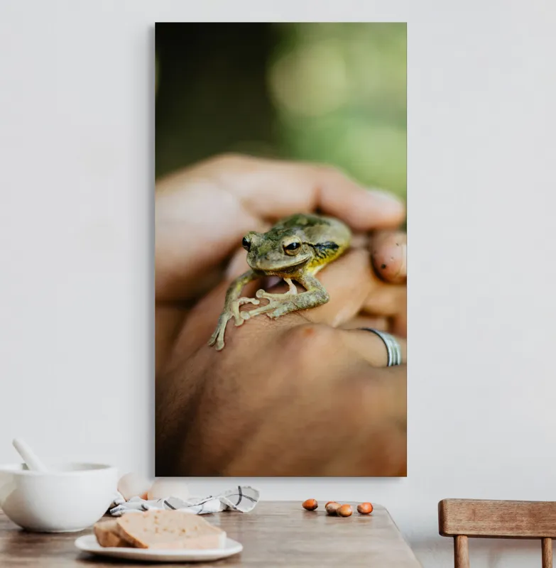 Tablou Canvas, "Broasca ascunsă în căușul palmelor", 50 x 90 cm – poza 3