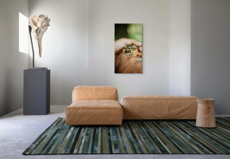 Tablou Canvas, "Broasca ascunsă în căușul palmelor", 50 x 90 cm – poza 5