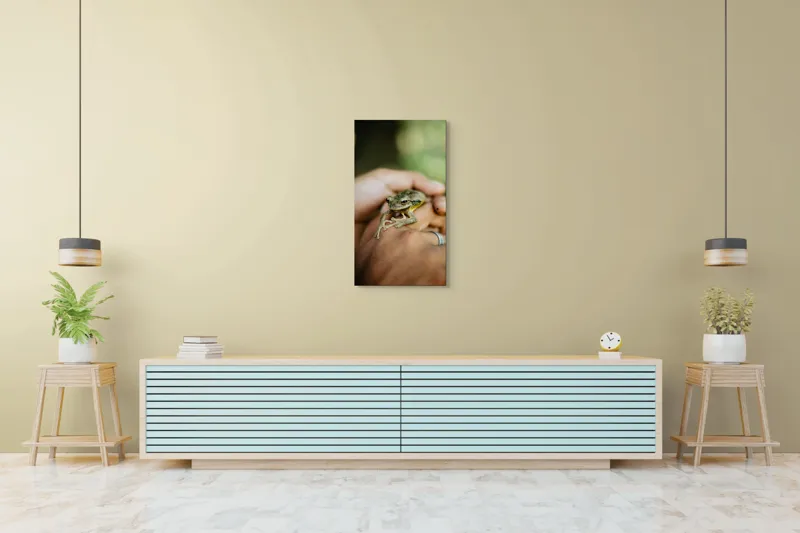 Tablou Canvas, "Broasca ascunsă în căușul palmelor", 50 x 90 cm – poza 6