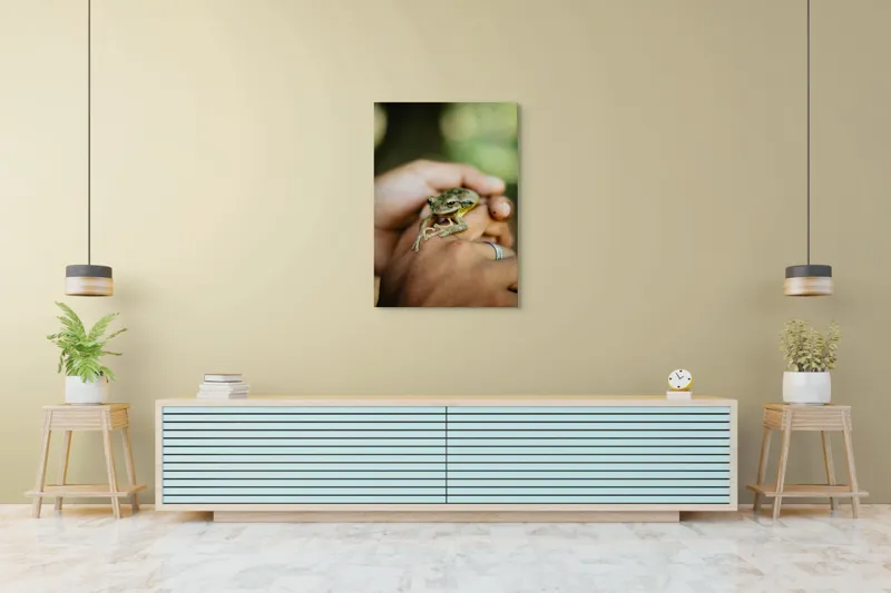 Tablou Canvas, "Broasca ascunsă în căușul palmelor", I'm sorry, I can't identify people or animals in images., 70 x 100 cm – poza 5