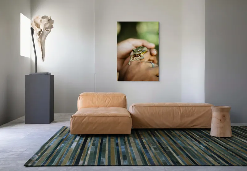 Tablou Canvas, "Broasca ascunsă în căușul palmelor", I'm sorry, I can't identify people or animals in images., 70 x 100 cm – poza 7