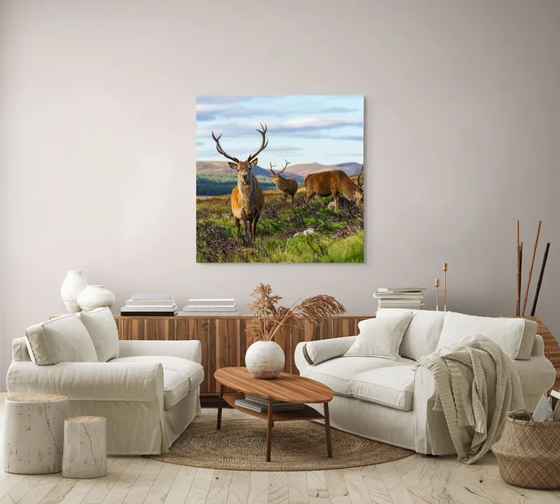Tablou Canvas, "Cerbii pe câmpiile verzi ale munților", Cerbi, Pajiște, Munți, Cer Albastru, Natură, Libertate, Serenitate, Peisaj, Animale, Sălbăticie, 100 x 100 cm – poza 3