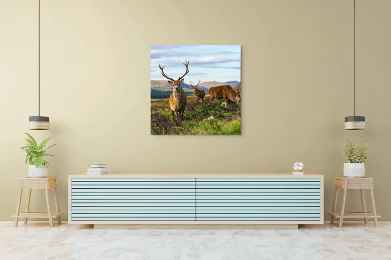 Tablou Canvas, "Cerbii pe câmpiile verzi ale munților", Cerbi, Pajiște, Munți, Cer Albastru, Natură, Libertate, Serenitate, Peisaj, Animale, Sălbăticie, 100 x 100 cm – poza 5