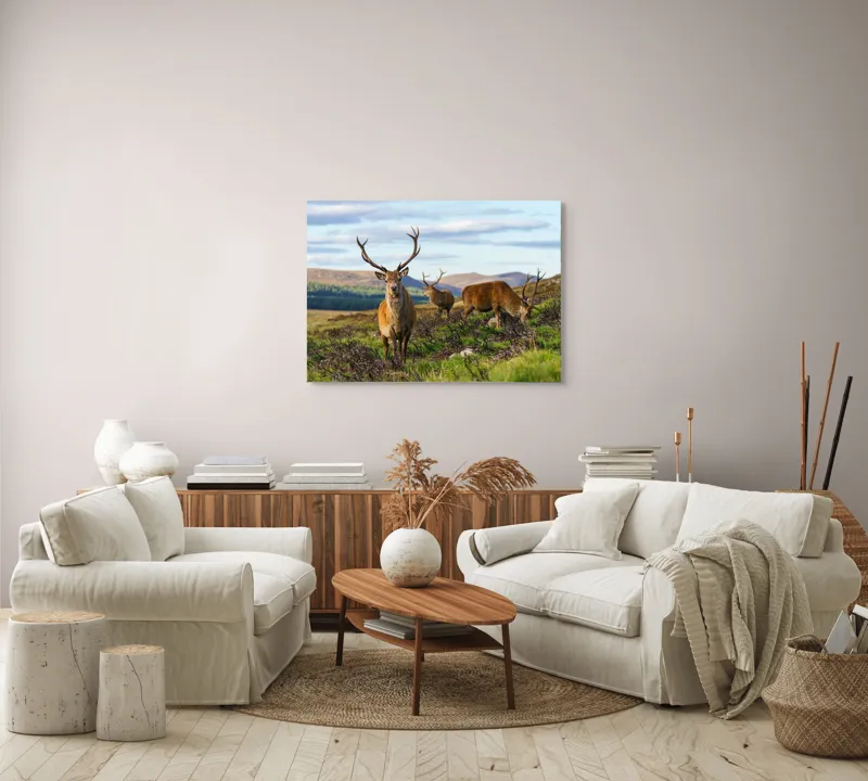 Tablou Canvas, "Cerbii pe câmpiile verzi ale munților", Cerbi, Pajiște, Munți, Cer Albastru, Natură, Libertate, Serenitate, Peisaj, Animale, Sălbăticie, 100 x 70 cm – poza 3
