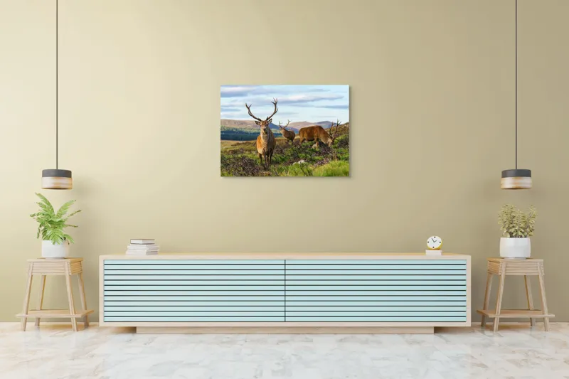 Tablou Canvas, "Cerbii pe câmpiile verzi ale munților", Cerbi, Pajiște, Munți, Cer Albastru, Natură, Libertate, Serenitate, Peisaj, Animale, Sălbăticie, 100 x 70 cm – poza 4