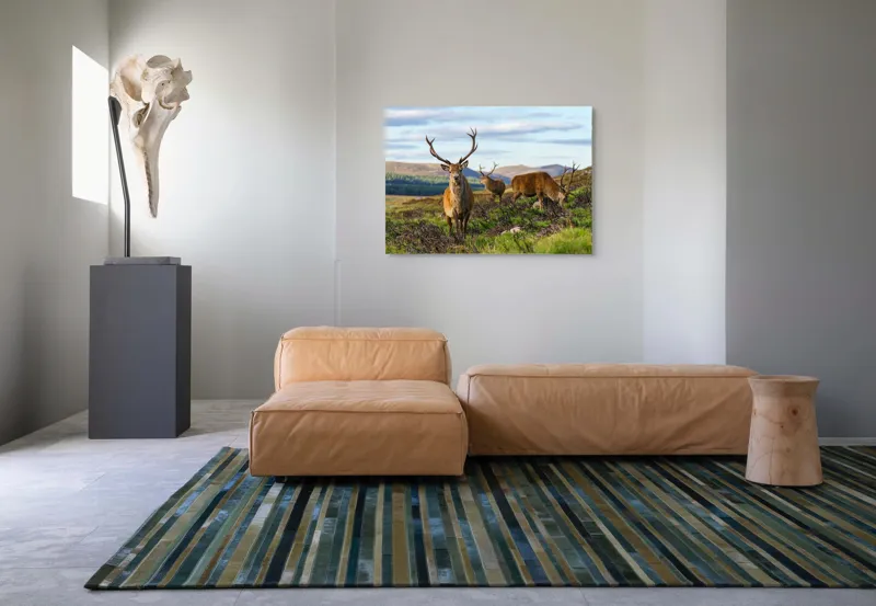 Tablou Canvas, "Cerbii pe câmpiile verzi ale munților", Cerbi, Pajiște, Munți, Cer Albastru, Natură, Libertate, Serenitate, Peisaj, Animale, Sălbăticie, 100 x 70 cm – poza 7