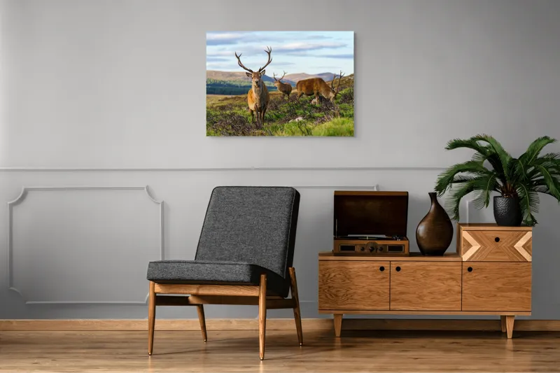 Tablou Canvas, "Cerbii pe câmpiile verzi ale munților", Cerbi, Pajiște, Munți, Cer Albastru, Natură, Libertate, Serenitate, Peisaj, Animale, Sălbăticie, 100 x 70 cm – poza 8