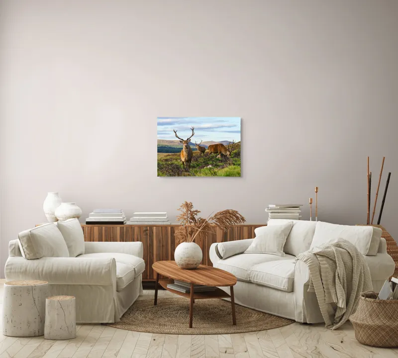 Tablou Canvas, "Cerbii pe câmpiile verzi ale munților", Cerbi, Pajiște, Munți, Cer Albastru, Natură, Libertate, Serenitate, Peisaj, Animale, Sălbăticie, 70 x 50 cm – poza 6