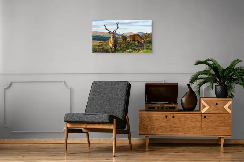 Tablou Canvas, "Cerbii pe câmpiile verzi ale munților", Cerbi, Pajiște, Munți, Cer Albastru, Natură, Libertate, Serenitate, Peisaj, Animale, Sălbăticie, 90 x 50 cm – poza 6