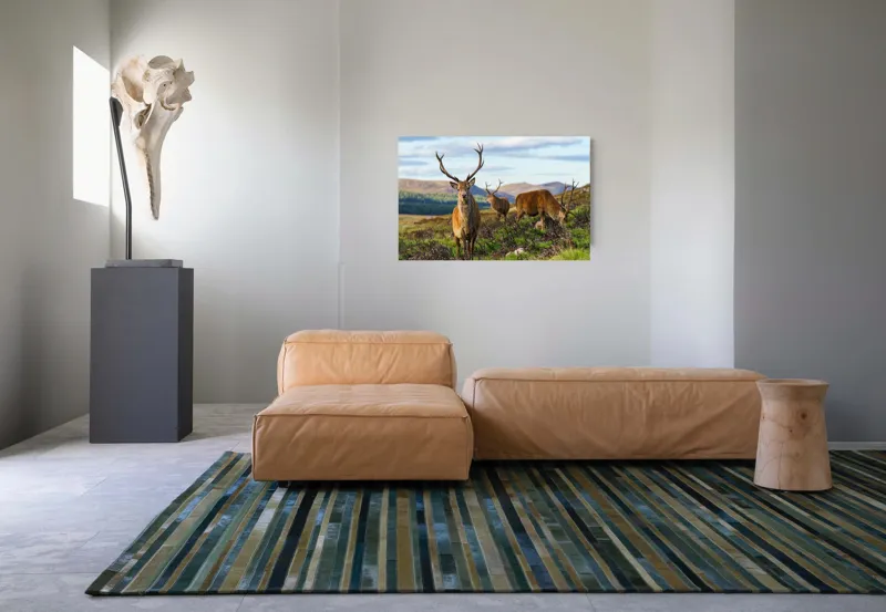 Tablou Canvas, "Cerbii pe câmpiile verzi ale munților", Cerbi, Pajiște, Munți, Cer Albastru, Natură, Libertate, Serenitate, Peisaj, Animale, Sălbăticie, 90 x 50 cm – poza 8
