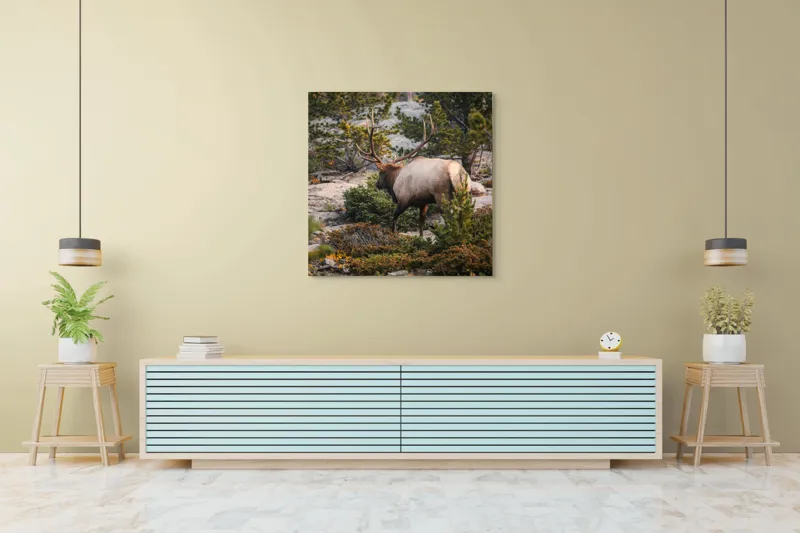Tablou Canvas, "Elan printre pini montani", Cerb, Pădure, Corn, Verdeață, Natură, Peisaj, Sălbăticie, Aventură, Liniște, Frumusețe, Tranquilitate., 100 x 100 cm – poza 5